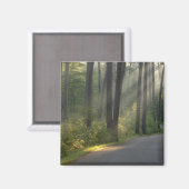 Wilderness Drive, Itasca Staat Park, Magnet (Vorderseite/Rückseite)