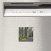 Wilderness Drive, Itasca Staat Park, Magnet (In Situ (Geschirrspüler))