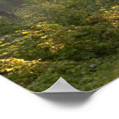 Wilderness Drive, Itasca Staat Park, Poster (Ecke)