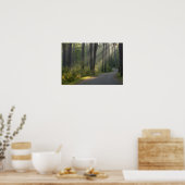 Wilderness Drive, Itasca Staat Park, Poster (Küche)