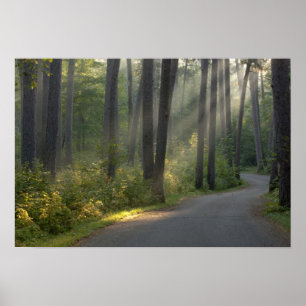 Wilderness Drive, Itasca Staat Park, Poster