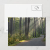 Wilderness Drive, Itasca Staat Park, Postkarte (Vorne/Hinten)