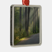 Wilderness Drive, Itasca Staat Park, Silbernes Ornament (Rechts)