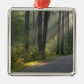 Wilderness Drive, Itasca Staat Park, Silbernes Ornament (Vorne)