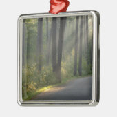 Wilderness Drive, Itasca Staat Park, Silbernes Ornament (Links)