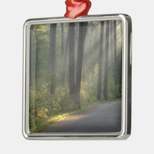 Wilderness Drive, Itasca Staat Park, Silbernes Ornament (Links)