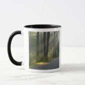 Wilderness Drive, Itasca Staat Park, Tasse (Links)