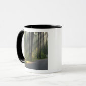 Wilderness Drive, Itasca Staat Park, Tasse (Vorderseite Links)