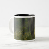 Wilderness Drive, Itasca Staat Park, Zweifarbige Tasse (Vorderseite Links)