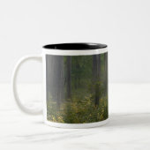 Wilderness Drive, Itasca Staat Park, Zweifarbige Tasse (Links)