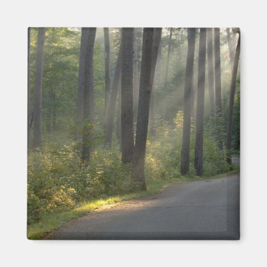 Wilderness Drive, Itasca State Park, Magnet (Vorne)