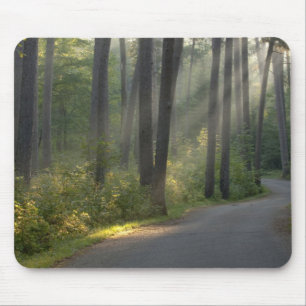 Wilderness Drive, Itasca State Park, Mousepad