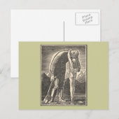 Wilderness Embrace Postkarte (Vorne/Hinten)