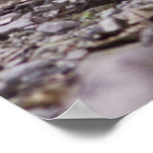 Wilderness Robert Frost Quote Poster - Groß (Ecke)