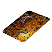 Wilderness Sunset Enten auf Stone Hintergrund Magnet (Linke Seite)