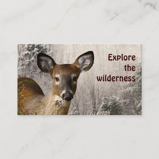 Wilderness Tours Visitenkarte (Vorderseite)