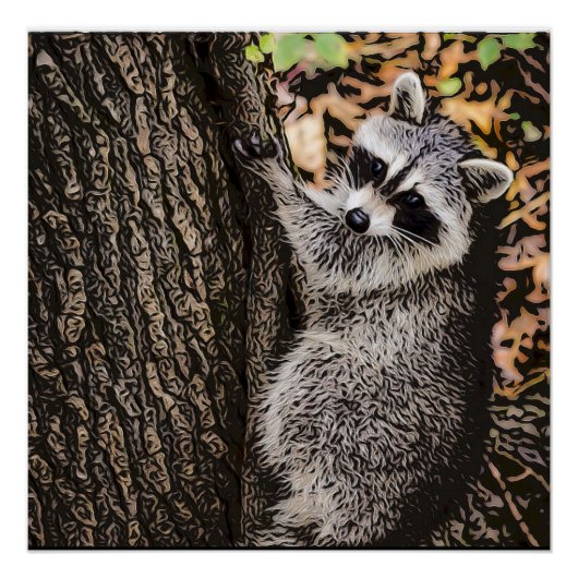Wilderness Wild Raccoon Poster (Vorderseite)