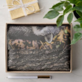 Wilderness Wild Raccoon Seidenpapier (Geschenk)