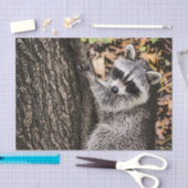 Wilderness Wild Raccoon Seidenpapier (Handwerk)