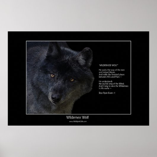 WILDERNESS WOLF Poster w\poster (Vorne)