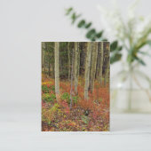 Wilderness Wonderland Postkarte (Stehend Vorderseite)