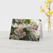 Wildes Apple-Blüten - Gruß-Karte Karte (Gelbe Blume)