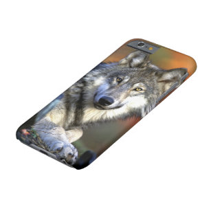 Wildes Bauholz oder grauer Wolf Barely There iPhone 6 Hülle