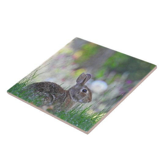 Wildes Bunny Rabbit im Gras Fliese (Seite)