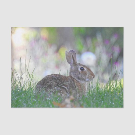 Wildes Bunny Rabbit im Gras Seidenpapier (Vorderseite)