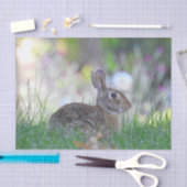 Wildes Bunny Rabbit im Gras Seidenpapier (Handwerk)