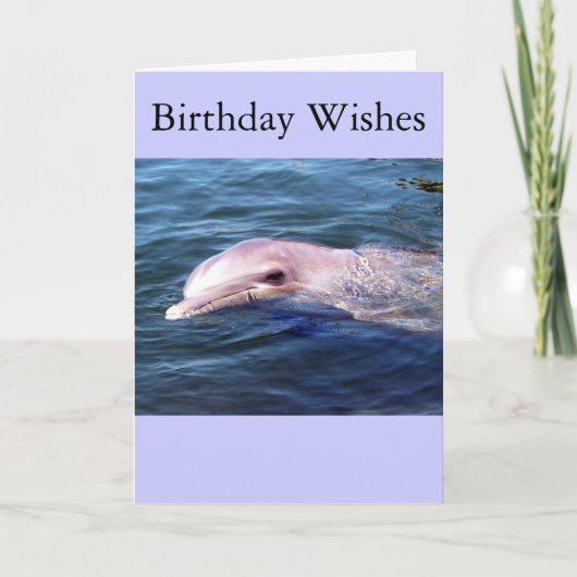 Wildes Dophin Karte (Vorderseite)