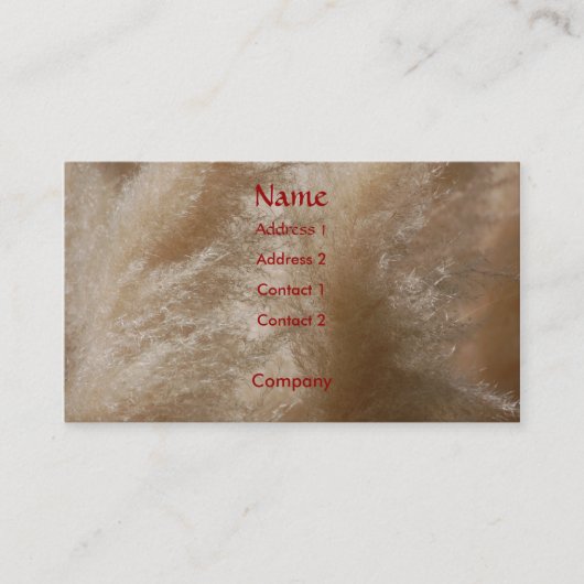 Wildes Gras-Visitenkarte Visitenkarte (Vorderseite)