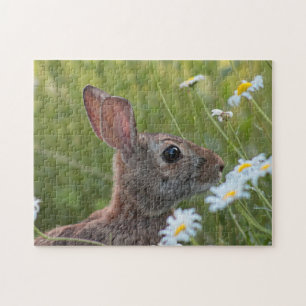 Wildes Häschen in den Gänseblümchen Puzzle