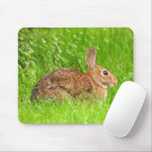 Wildes Hasen Mousepad (Mit Mouse)