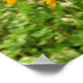 Wildes Herz, Sonnenblumen, Prinzen Poster (Ecke)