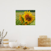 Wildes Herz, Sonnenblumen, Prinzen Poster (Küche)