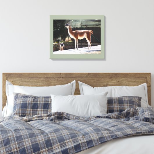 Wildes Kameltier Leinwanddruck (Insitu (Schlafzimmer))