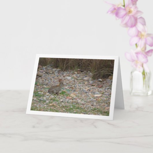 Wildes Kaninchen auf dem Lande Karte (Orchidee)