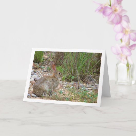 Wildes Kaninchen auf dem Lande Karte (Orchidee)