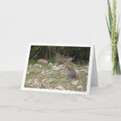 Wildes Kaninchen auf dem Lande Karte (Vorderseite)