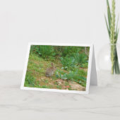 Wildes Kaninchen auf dem Lande Karte (Vorderseite)