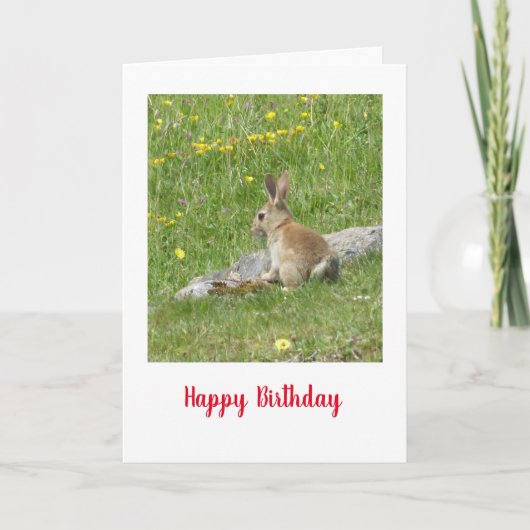 Wildes Kaninchen Geburtskarte Karte (Vorderseite)