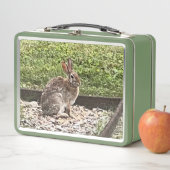 Wildes Kaninchen im Garten, Lunchboxen (Beispiel)