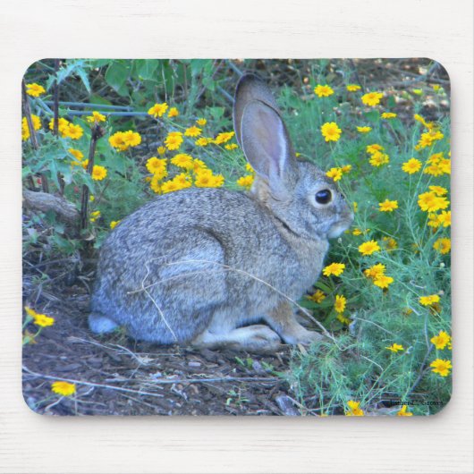 Wildes Kaninchen in den gelben Blumen Mousepad (Vorne)