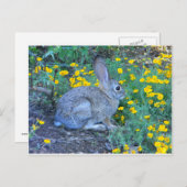 Wildes Kaninchen in gelben Blumen Postkarte (Vorne/Hinten)