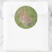 Wildes Kaninchen in meinem Garten Runder Aufkleber (Tasche)