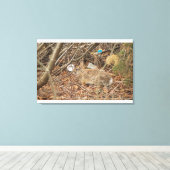 Wildes Kaninchen in Unterbürste Leinwanddruck (Insitu (Holzboden))