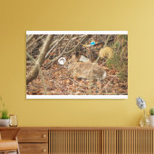 Wildes Kaninchen in Unterbürste Leinwanddruck (Insitu (Wohnzimmer))