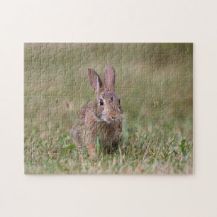 Wildes Kaninchen Puzzle