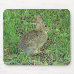 Wildes Kaninchen-Stillstehen Mousepad
